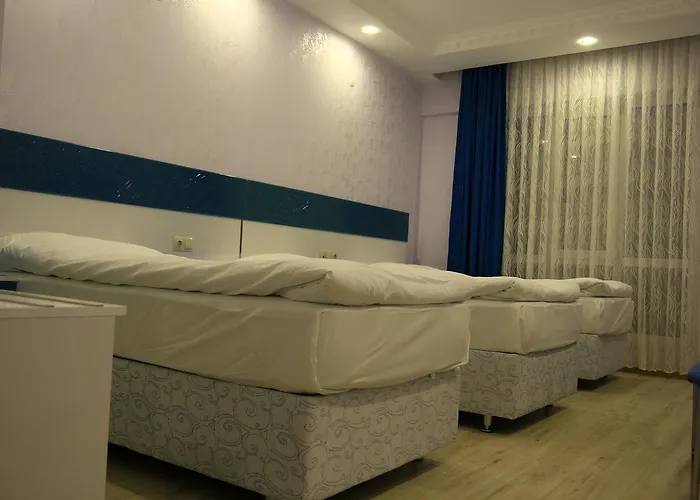 Hotel Unal Seydisehir